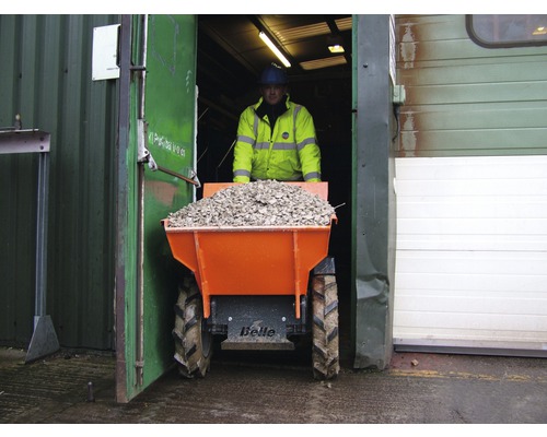 Belle BMD minidumper