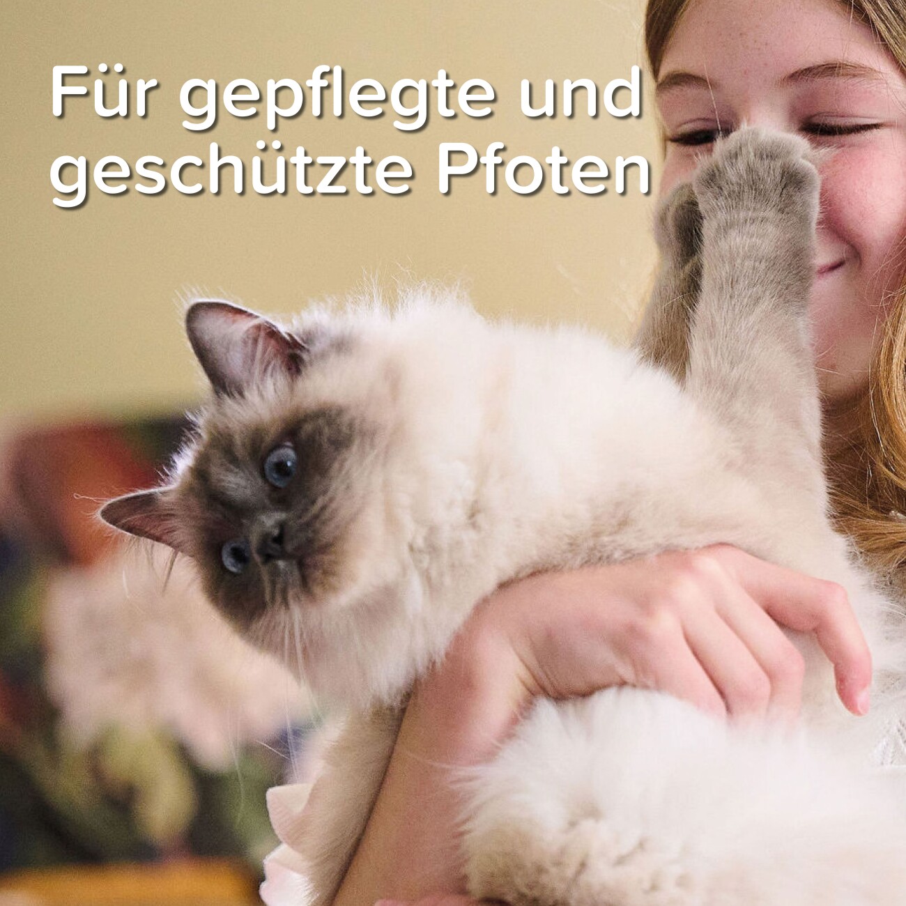 Beaphar Pfoten-Pflege Spray (mit Propolis) 150ml