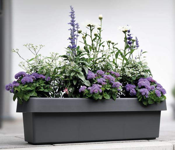 Geli Kunststoff-Blumenkasten Viva, inkl.