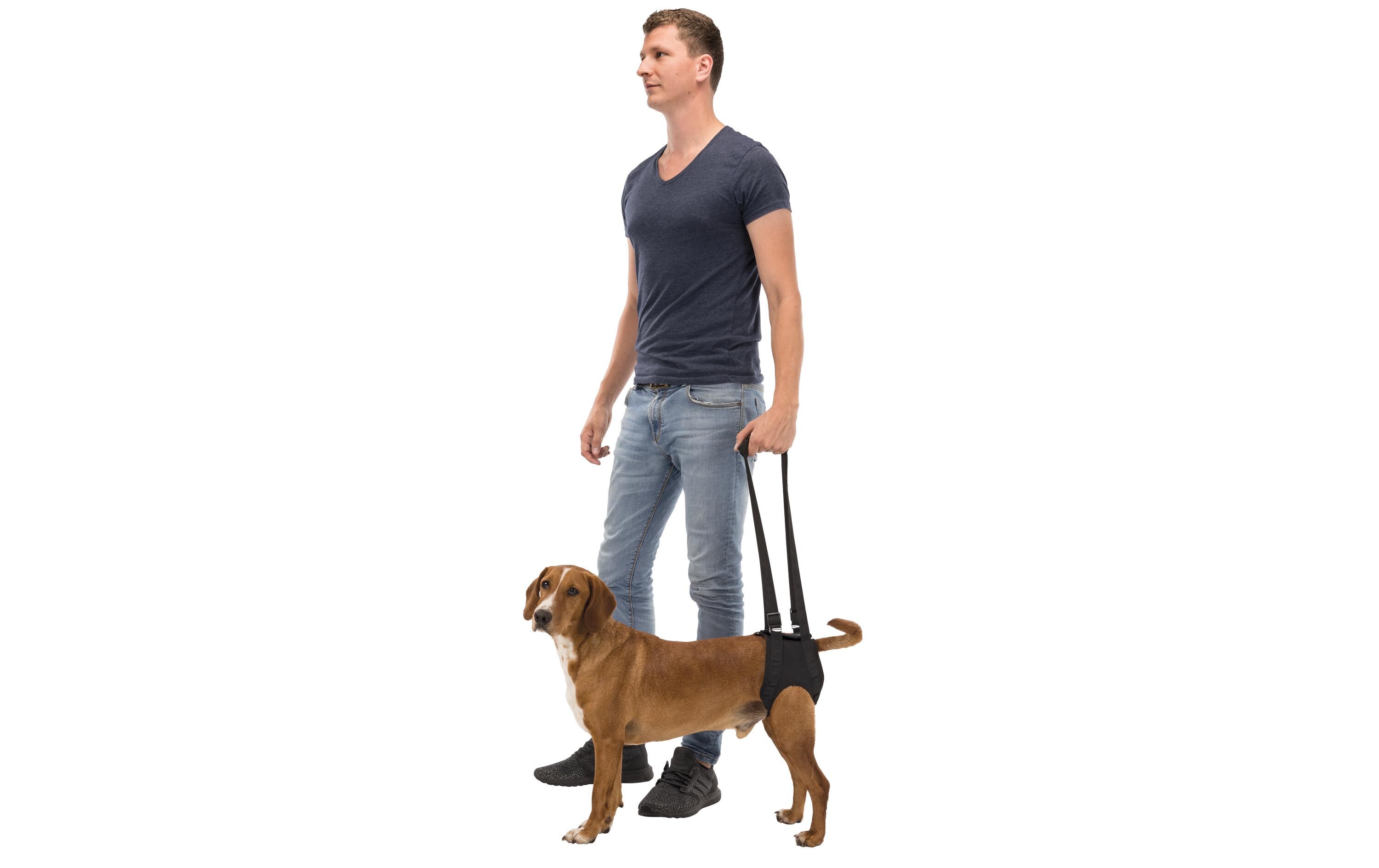 Gehhilfe, L, bis 35 kg, 65-75 cm, SchwarzGehhilfe für Hunde zur Entlastung