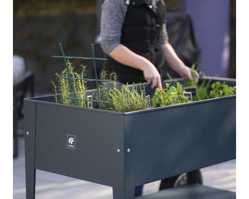 Verhoogd tuinbed op palen Herstera Garden Kräuterfabrik Draaibaar 120x60x80 cm antraciet
