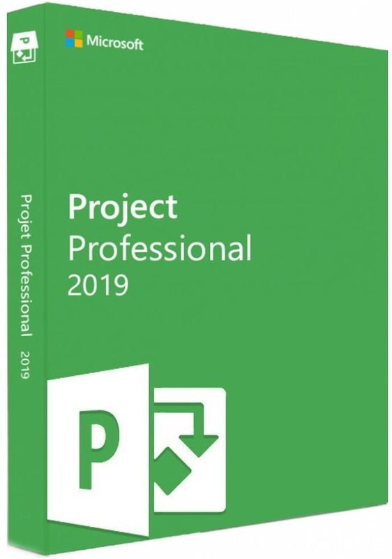 Microsoft Project 2019 Professional (PC)