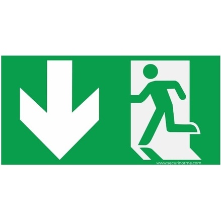 Panneau évacuation - Sortie de secours - Photo-luminescent