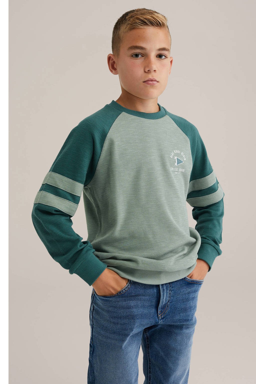 WE Fashion Blue Ridge sweater groen