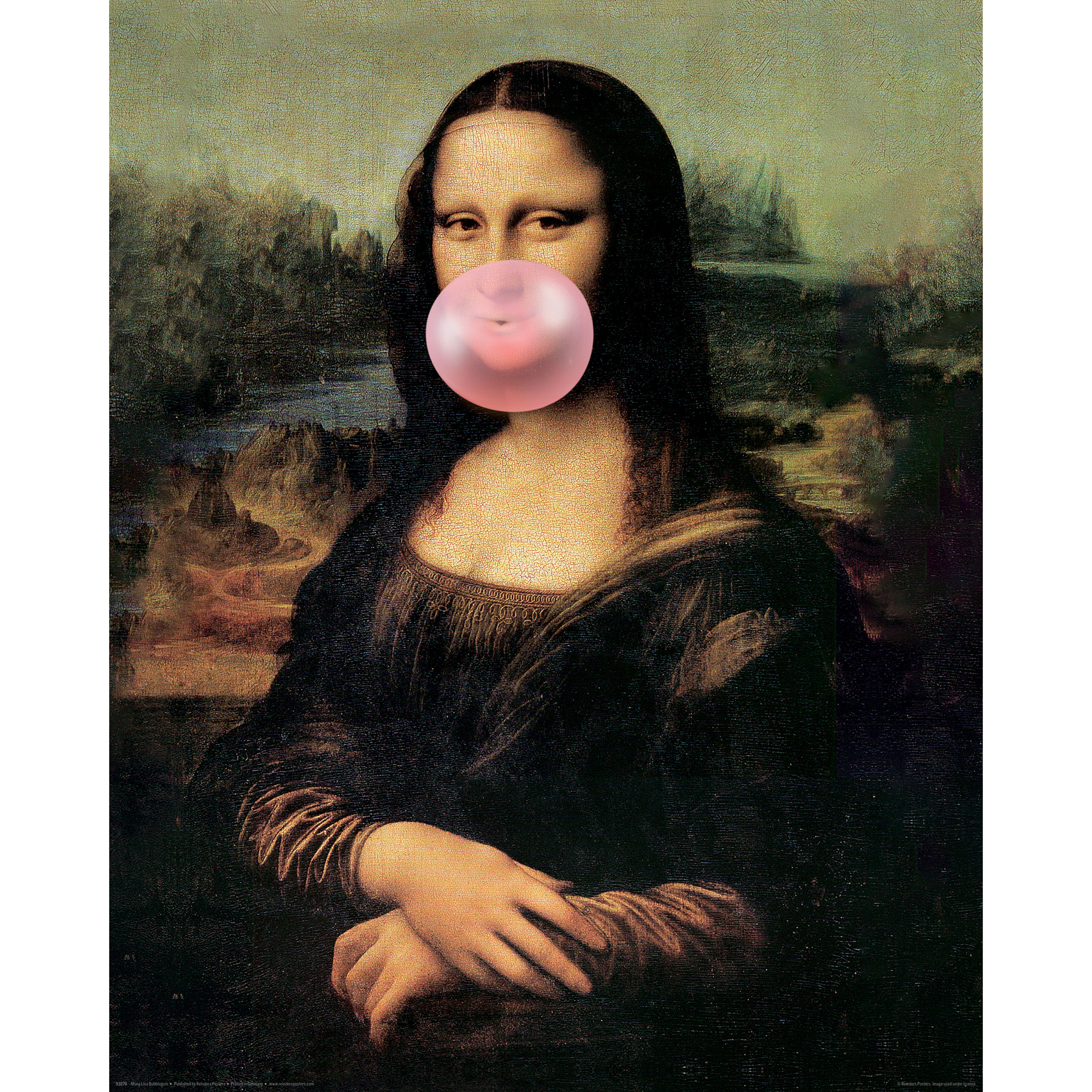 Deco-Panel MONA LISA BUBBLEGUM - 40x50 cm