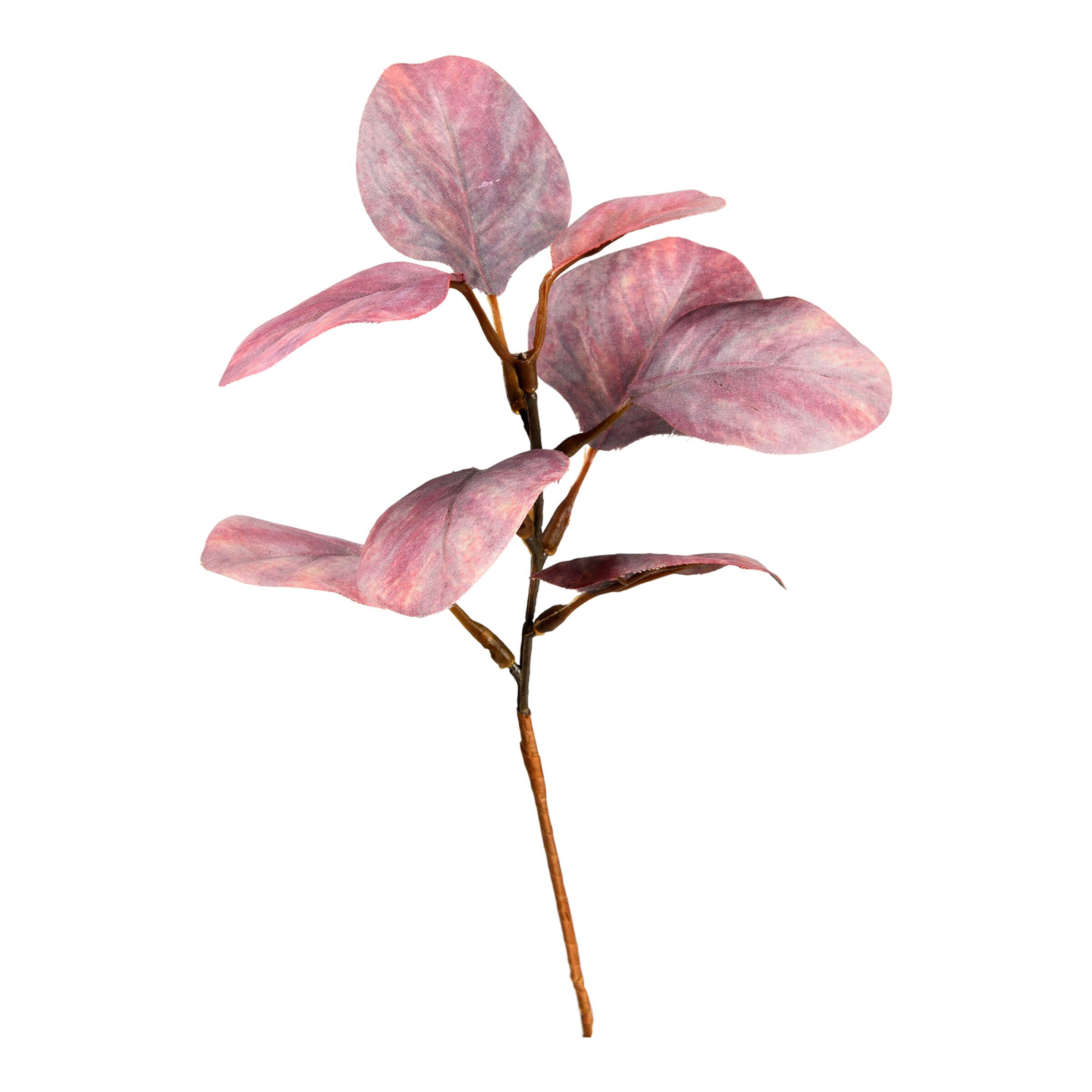 bunt, L 24 cm