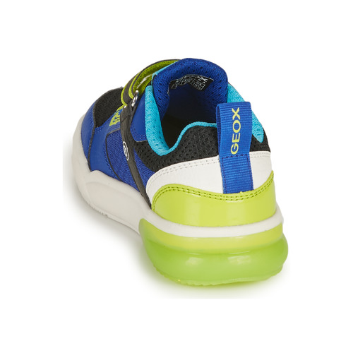 Geox - GRAYJAY BOY - Bleu / Lime