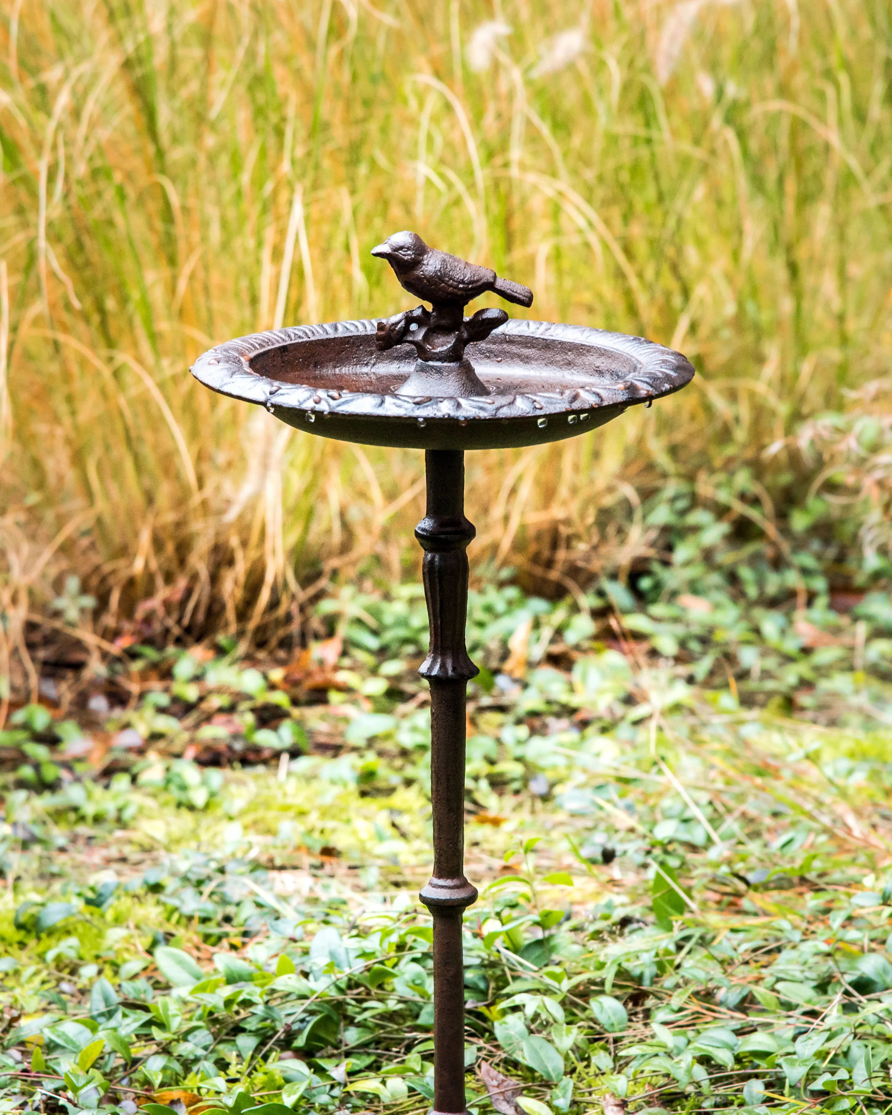 Vogelbad SWALLOW Bruin