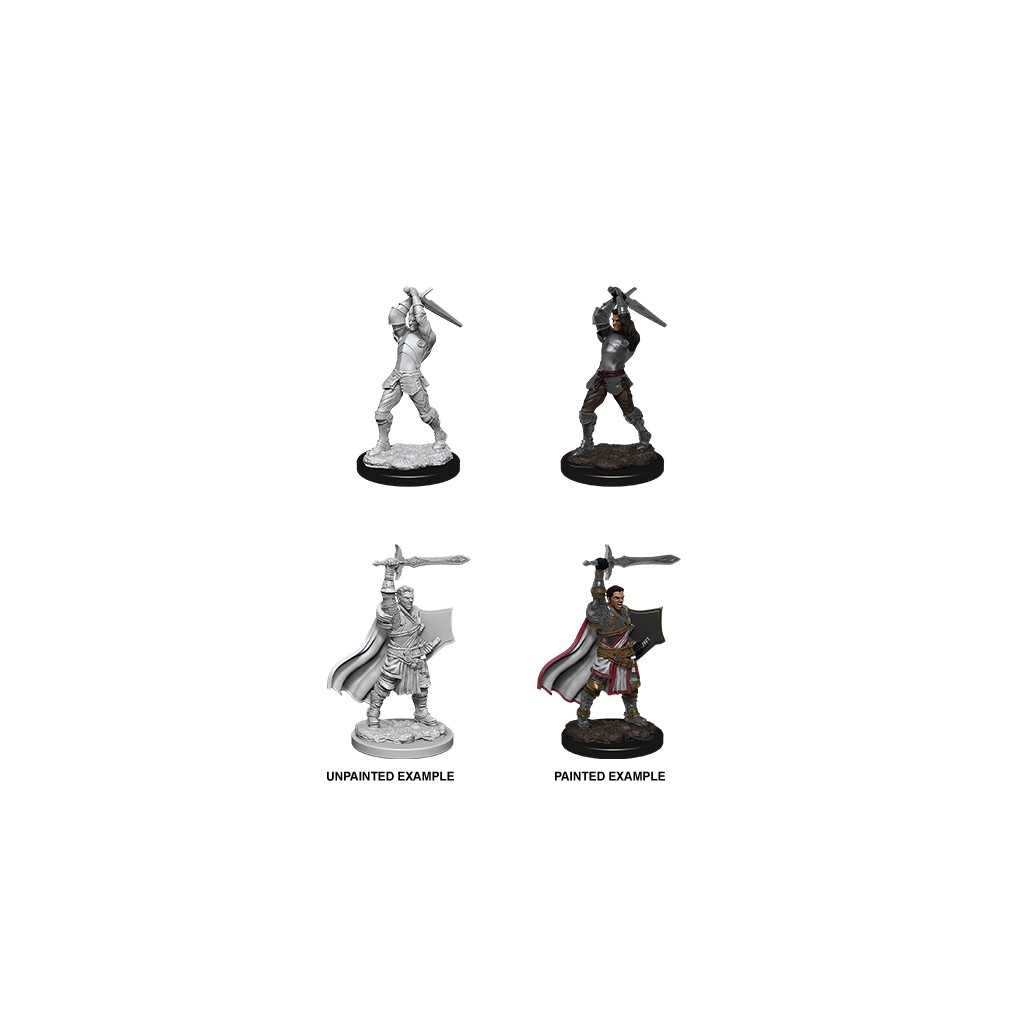 D&D Nolzur's Marvelous Unpainted Miniatures: Human Paladin
