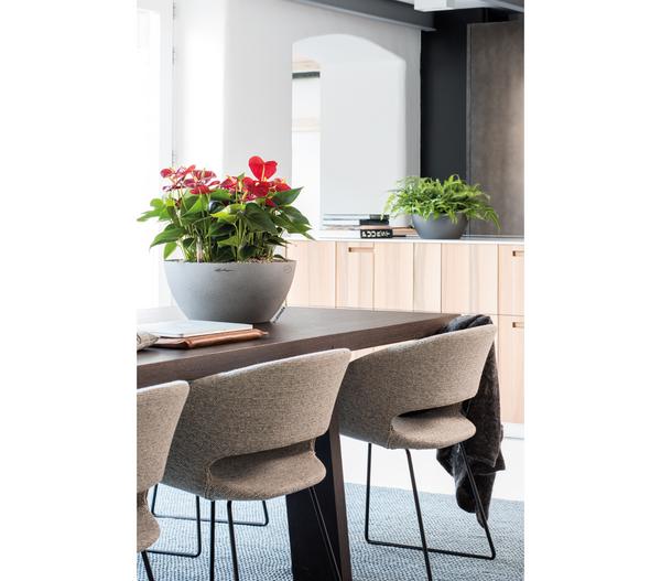 LECHUZA® Kunststoff-Schale 'Cubeto Stone',