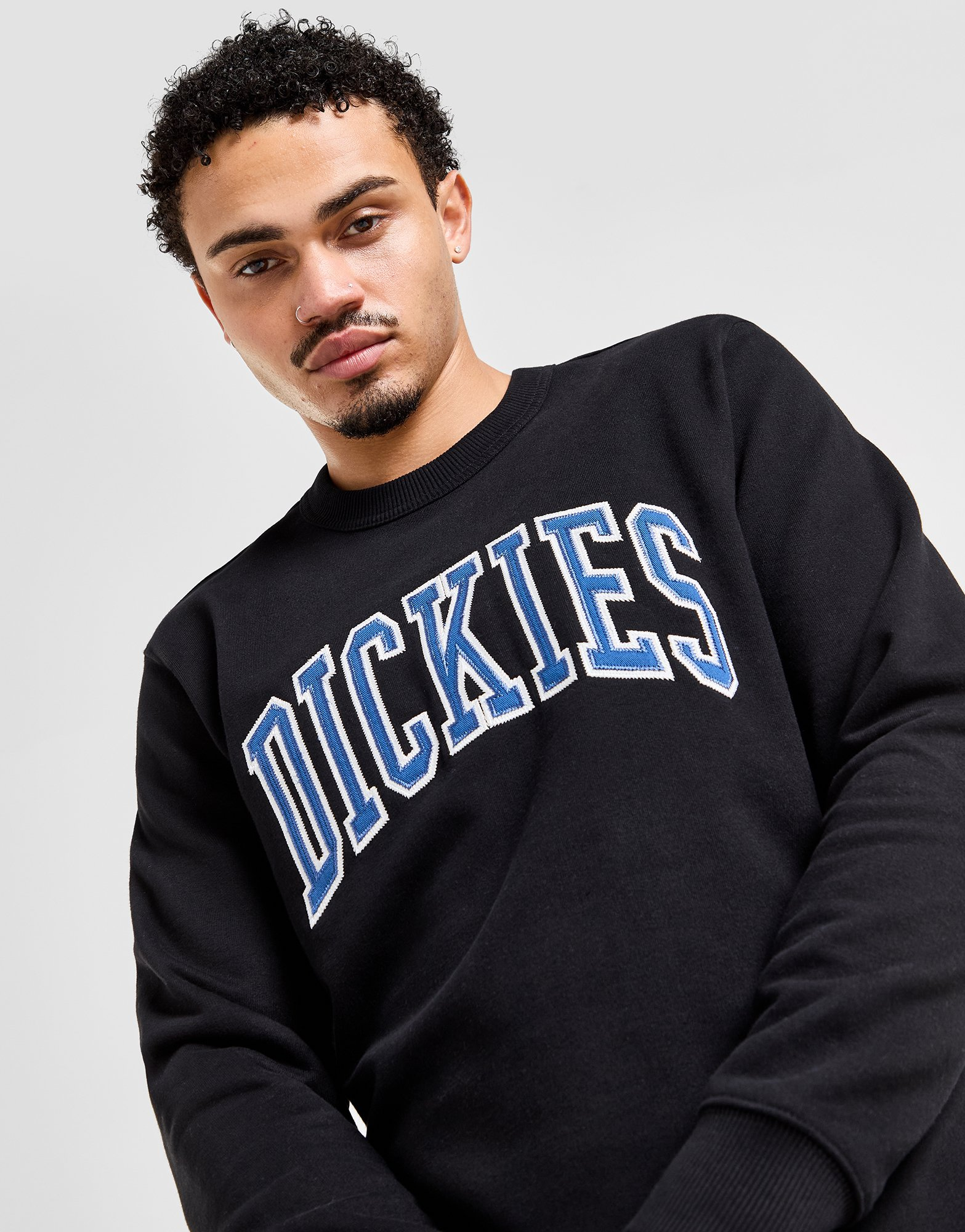 Dickies Sweat Aitkin Homme