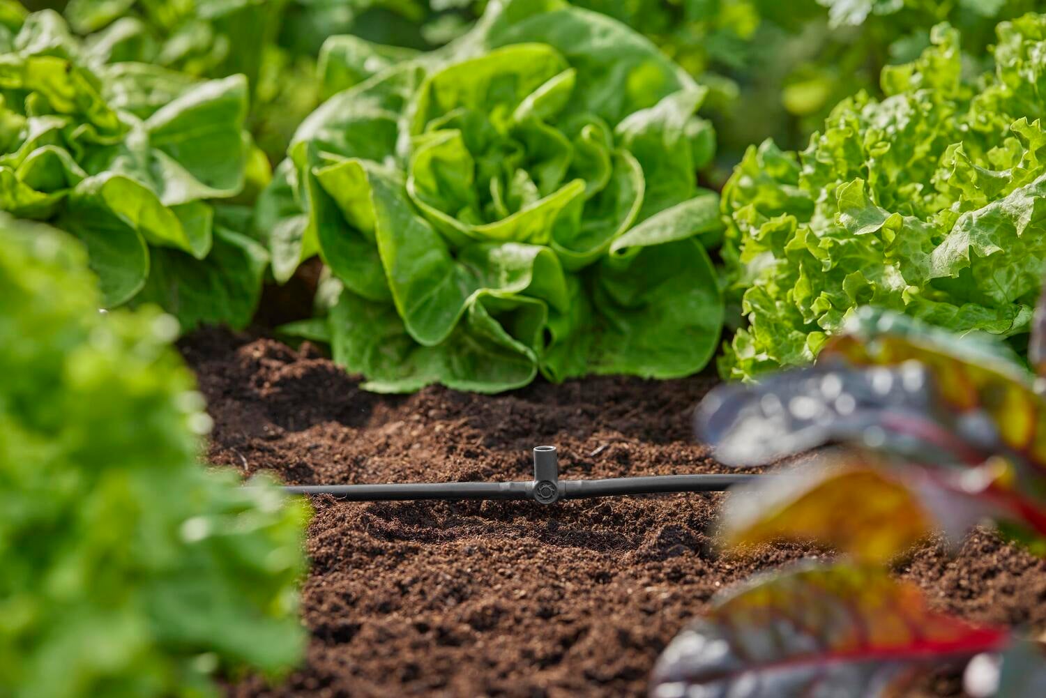 Gardena Micro Drip systeem T-stuk voor sproeiers/einddruppelaars 4,6 mm (3/16 inch)
