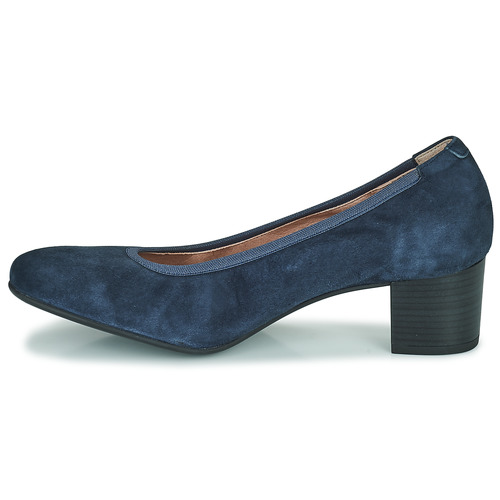 Dorking - GEMINIS - Bleu