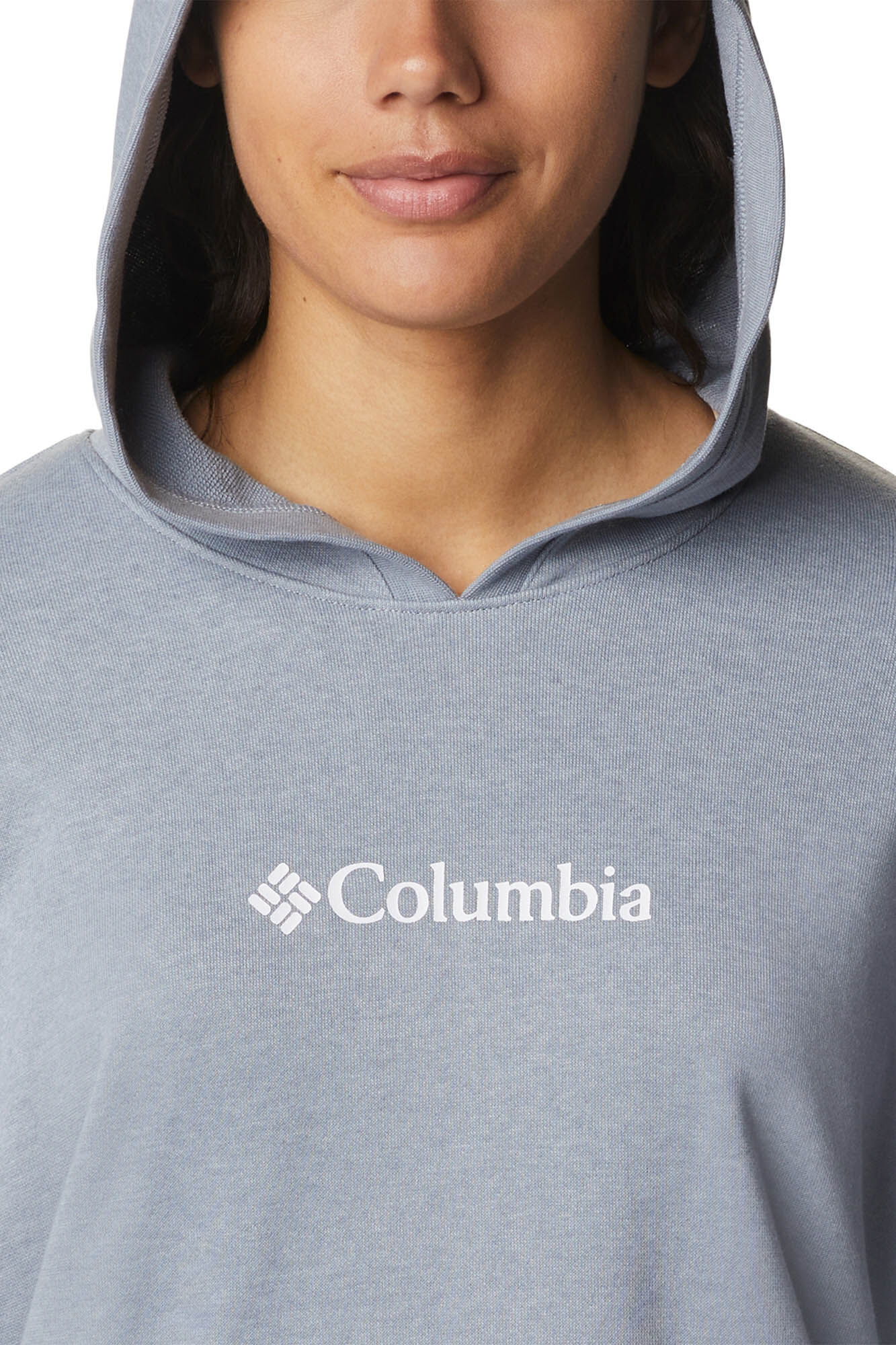 Moletom feminino Columbia Logo™ III com capuz e forro de lã francesa - Cinza