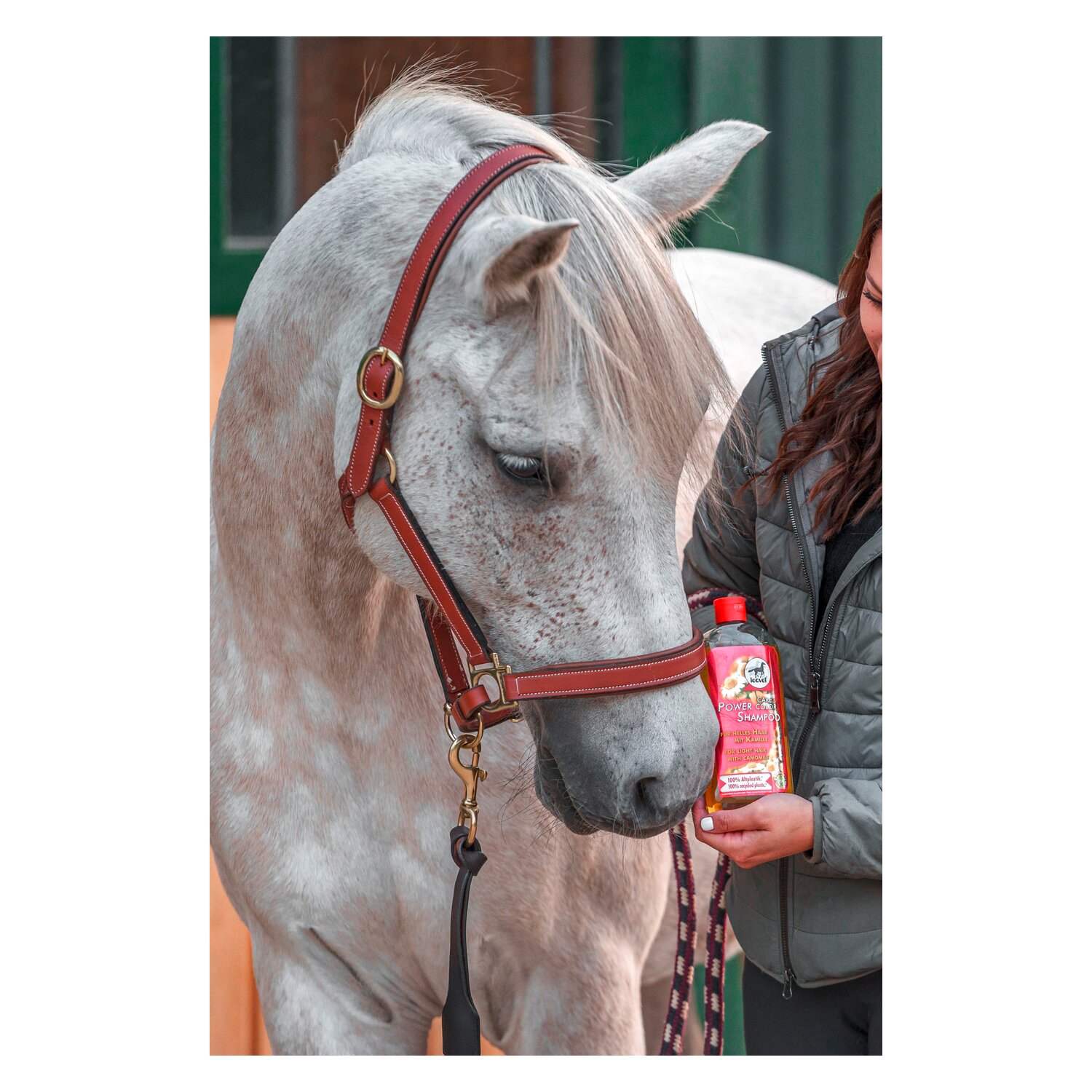 leovet Power Shampoo mit Kamille - 500 ml