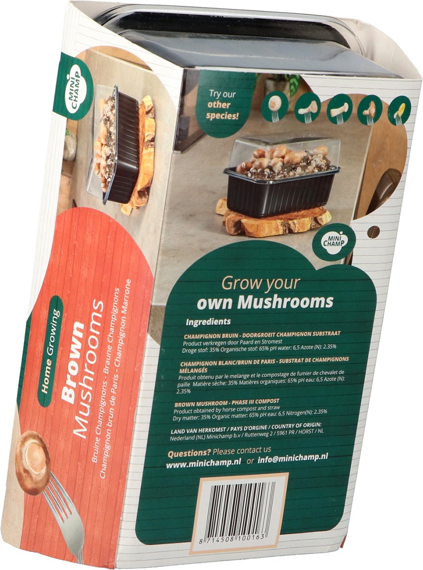 Mini Champ Home growing bruine champignons 27,7 x 8,6 x 17,5 cm