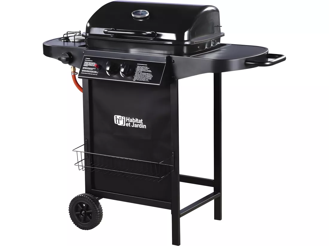 Barbecue gaz 