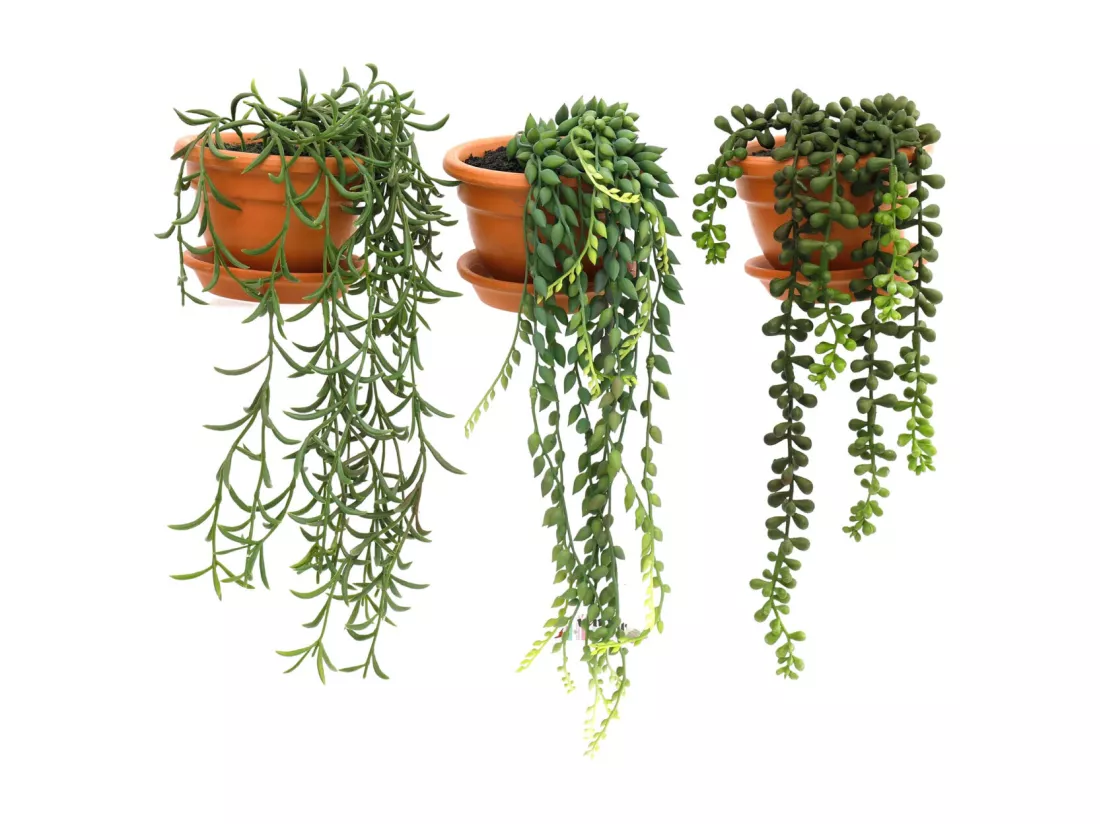 Plantes artificielles en pot terracotta (Lot de 3)