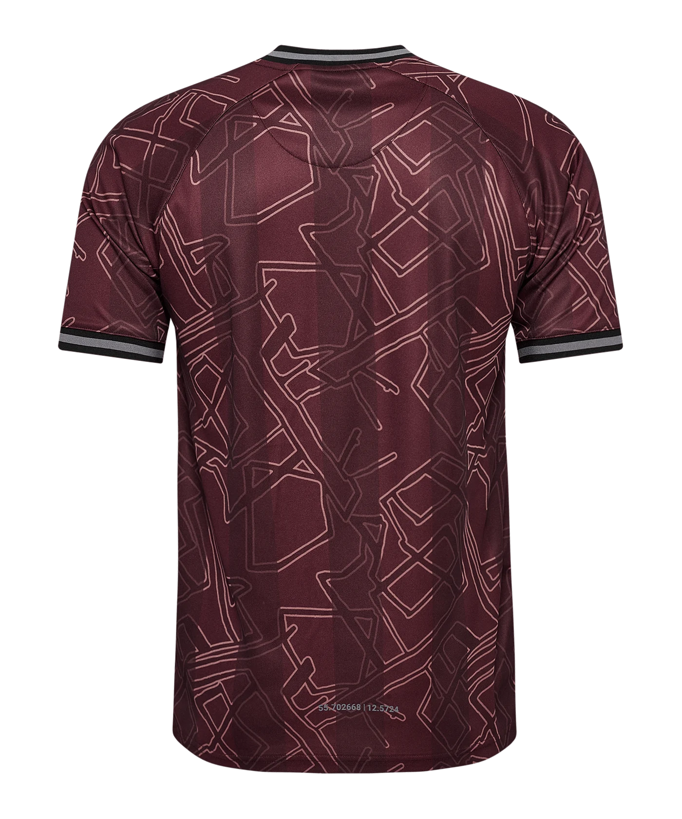 Hummel Dänemark x Halo Trikot 2024 Kids Blau F8186