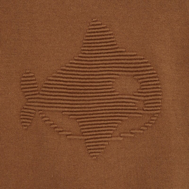 Pull jeu de mailles dinosaure marron bébé garçon Marron