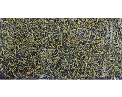 Decoratief mos, plaatmos, 200g, groen