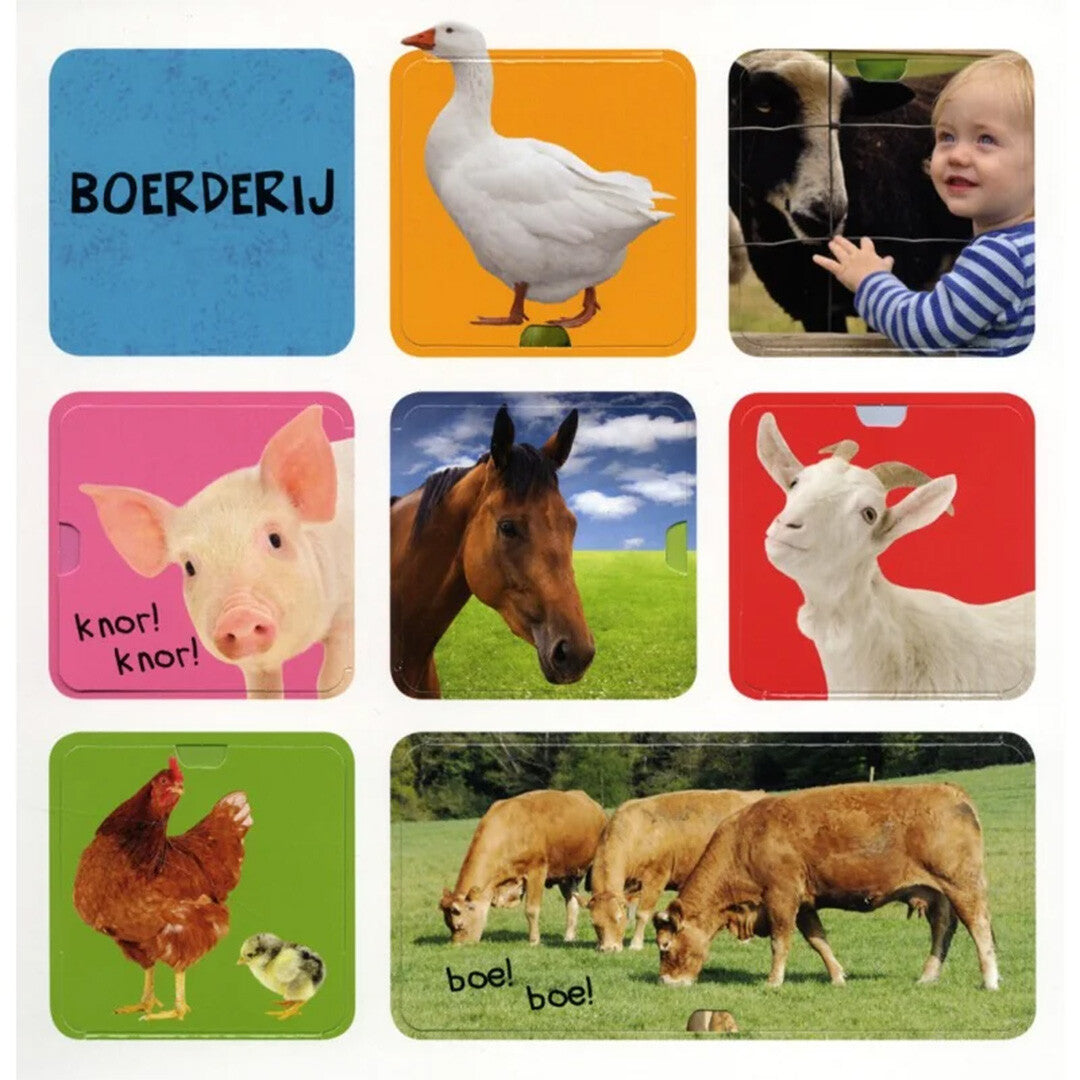 Mijn eerste flapjesboek 100 dieren