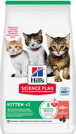 Hill's Science Plan Kitten Croquettes Au Saumon Pour Chaton 1,5kg