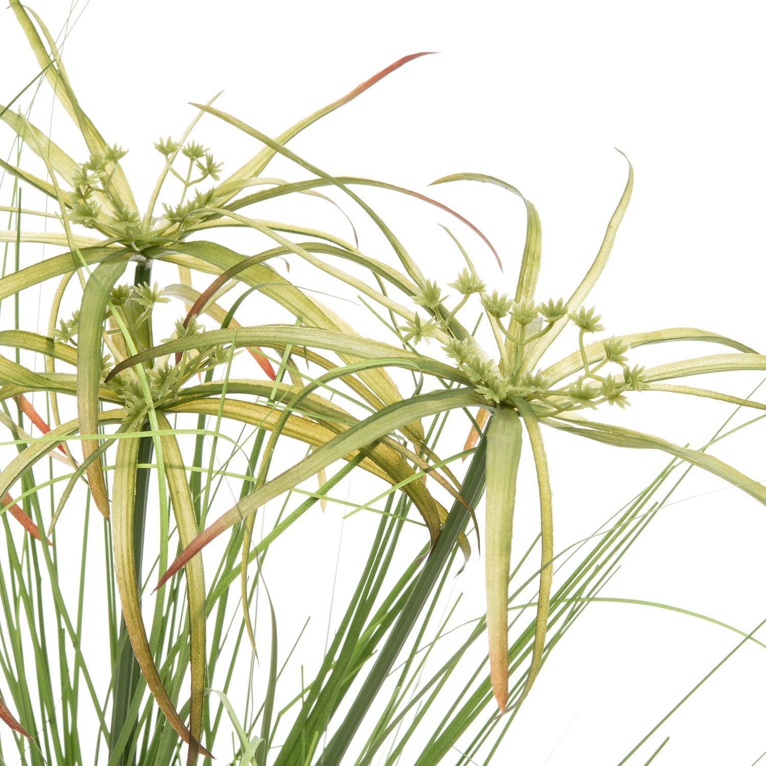 Intratuin kunstplant Papyrus D 50 H 110 cm
