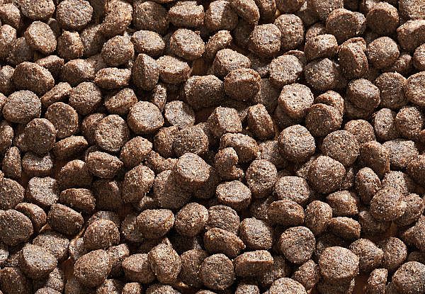 Vet-Concept Sana Buffel Mini Hond | 10 kg | 12009.1