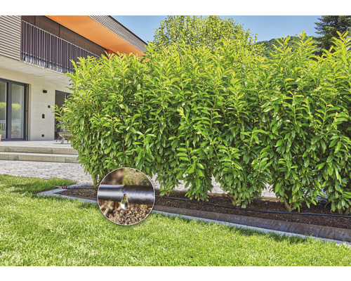 Tuinberegening GARDENA druppelbewateringsset voor heggen, 25 m