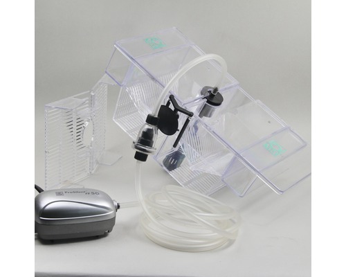 JBL BabyHome Oxygen kweekbox met luchtpomp, luchtslang en luchtsteen