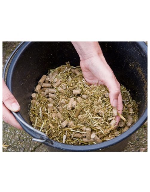 Pavo Dailyplus - Paardenvoer - 12 kg