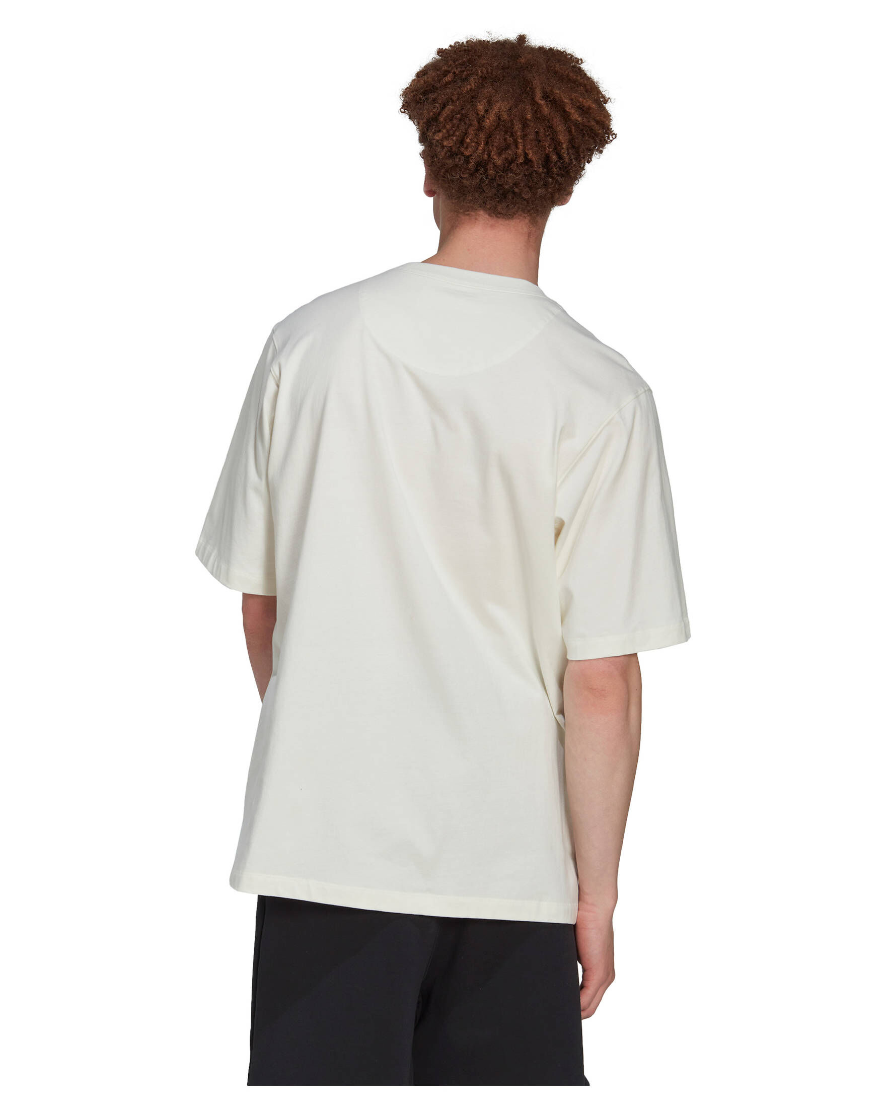 adidas Sportswear| Herren T-Shirt