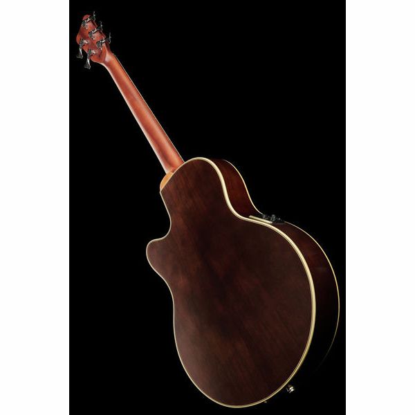 Warwick Alien Deluxe 5 Hybrid Thinline