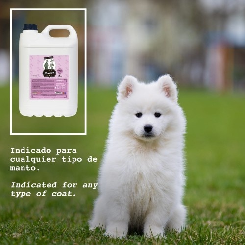 Shampoo de limpeza profunda Petuxe para animais de estimação
