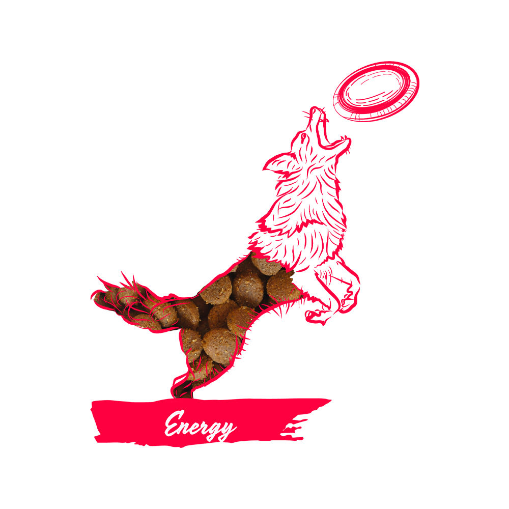 Calibra Dog Expert Nutrition Energy