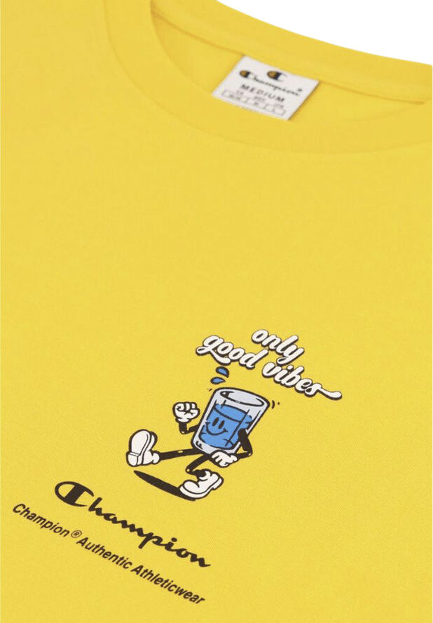 Champion graphic crewneck t-shirt Baked clay