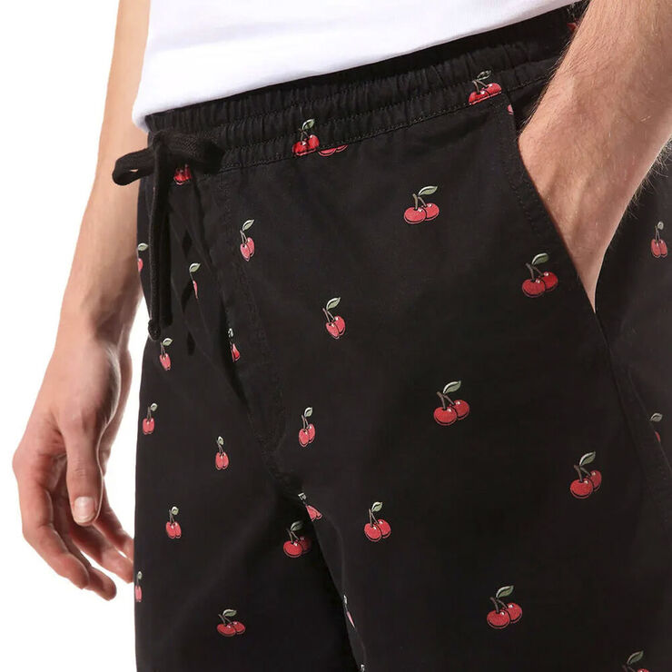 Vans Range 18 Cherri Shorts Sort