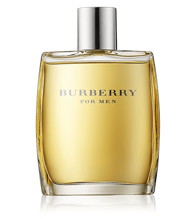 Burberry for Men edt vapo 100ml