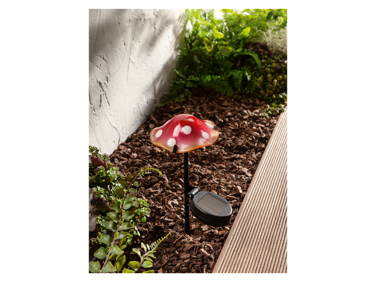 Solar LED-paddenstoel