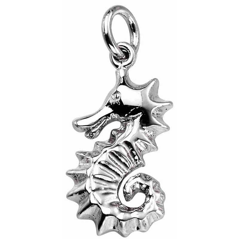 Collier hippocampe en argent 925/1000