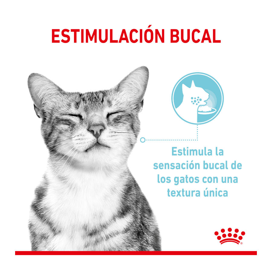 Molho Royal Canin Adult Sensory Feel para Gatos