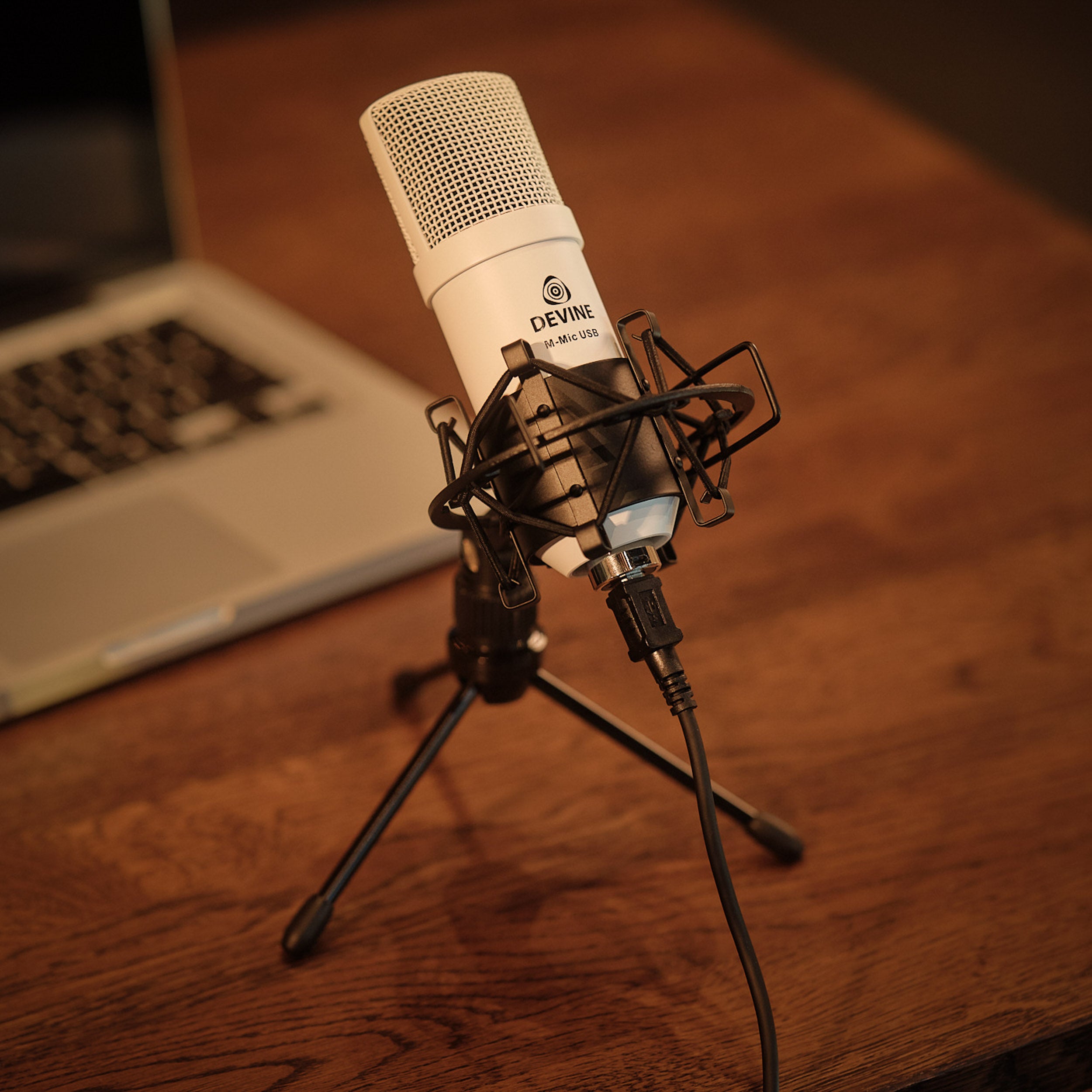 Devine M-Mic USB W condensatormicrofoon wit