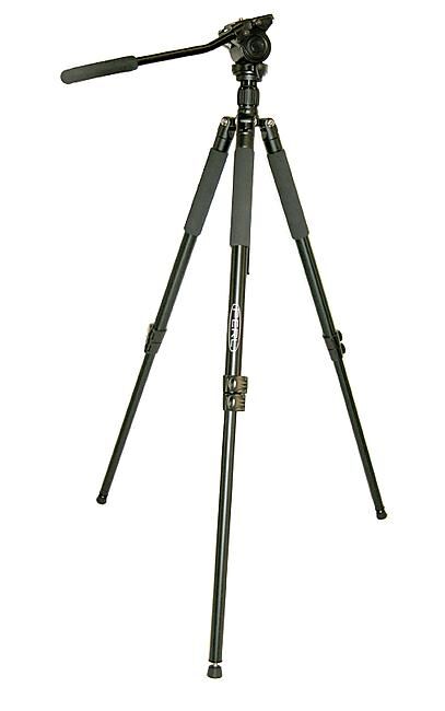 PERL - TREPIED PERL T11