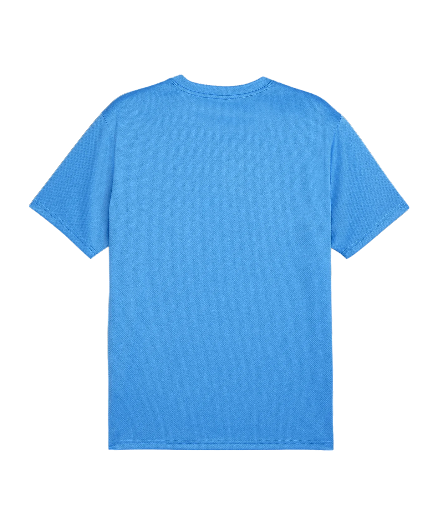 PUMA teamGOAL Trikot Blau F02