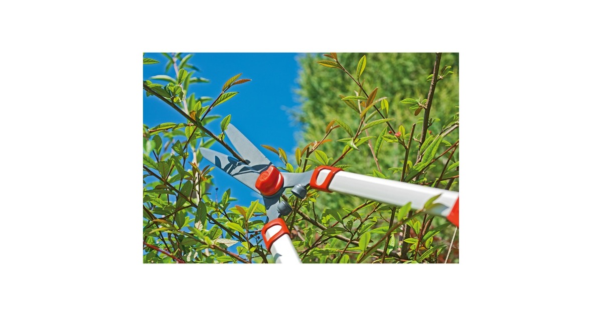 WOLF-GartenTelescoop HS 1000 T heggenschaar  (Rood/geel)