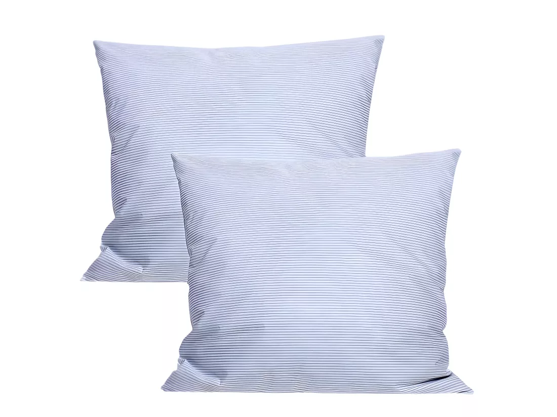 Lot De 2 Oreillers Plumes 65 X 65 Cm 