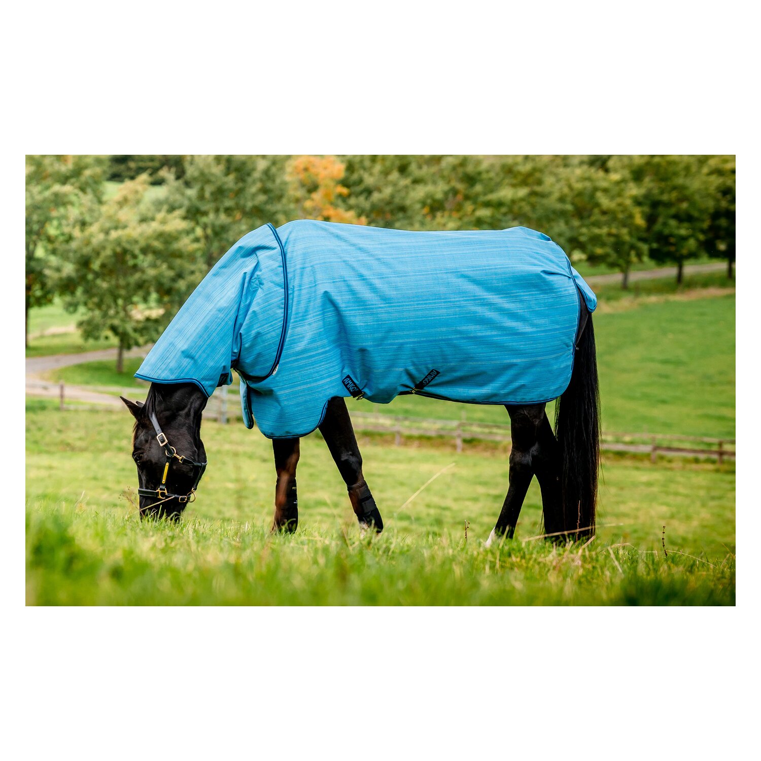 HORSEWARE Outdoordecke AMIGO Hero 900 Revieve plus 50 g - oceanblue
