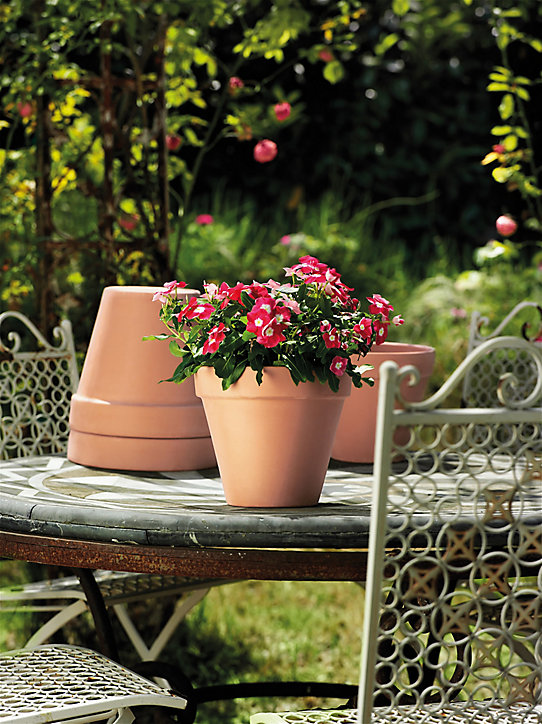 Pot pour pied de tomates Longtom H.30,10 cm