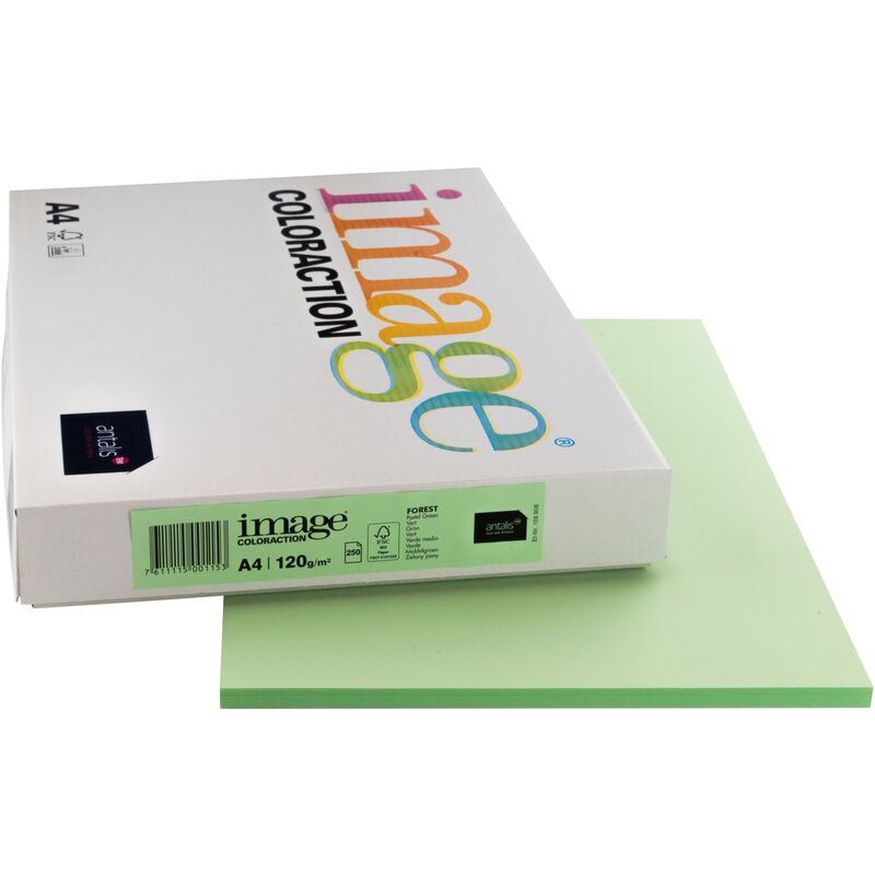 Image Coloraction Papier farbig, A4, 120 g/m², forest grün